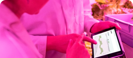 Foodservice Forecasting Playbook