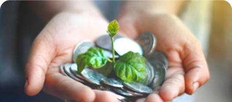 Sustainability & ESG Reporting for Foodservice